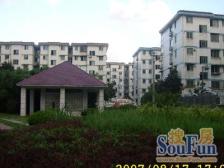 97年商品房,一梯两户,少有户型4室,建平,近9号线金桥公园