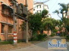 莘松五村 2室1厅 南