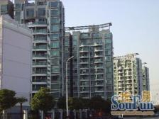 金色内中环,前滩新杨思板块,罕见大复式,空中别墅