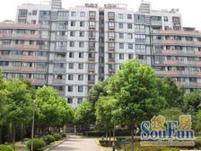 人车分流 电梯房,无抵押,精装 急售房源