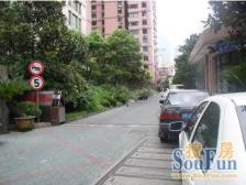 雕塑公园旁 精装修 南京西路 通燃气 电梯房