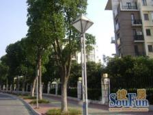 东湖大郡二期3室2厅2卫,次顶楼,采光视野极好,装修保养好