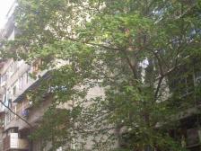 孺子路 南北通透,采光好 装修好,环镜优美 近地铁 视野好,诚心出售