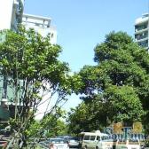 新村路地+铁(嘉华苑)精装修全屋全新,拎包入住,南北通透