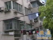 135滨江规划,12号线地铁口,纯商品房小区,高区三房