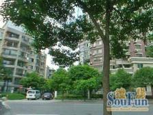 万里公园旁·4室·2厅,大户型四世同堂,层高3.1米出行方便