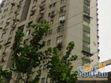 滨江1房1厅 电梯商品房 南北通 精装