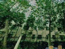 晋元可用,精装修,高楼层,采光好,视野无限。