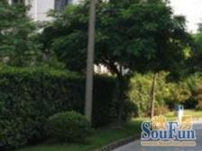 地铁口满五三房地铁口+南北通透花园位置+车位充足