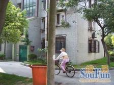 全朝南全南!阳台180度采光厨卫全明,客餐厅都有