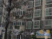 私家户外空间,居家露台改造可塑性强,休闲养花观景。