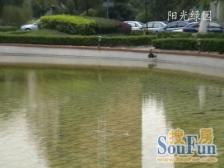 中高区,品质小区,飞机户型,5米宽大客厅,业主诚意