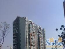 精装修 独栋别墅 院子很大 休闲娱乐 居住静谧