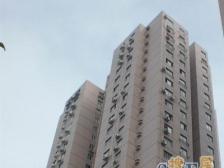 内环内大三房,配套好,三开间朝南,诚意满满