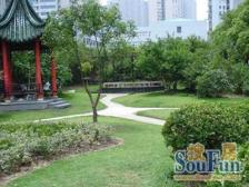 陆家嘴电梯高区、双南全天采光,视野景观俱佳,明珠A