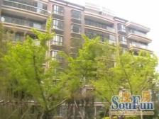 海洲国际华园 3室2厅 南 北