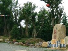 无抵押产权清晰精装,必看好房