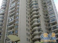 电梯高区,全明户型,采光良好,户型方正,配套成熟