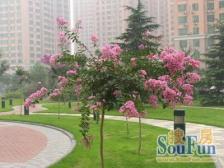 康健·花苑村紫薇园·2室·1厅