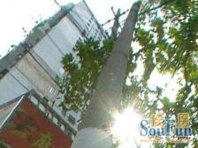 出门我格广场,交通便利,五轨交汇