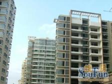 无抵押 电梯房 随时看房 新上房源