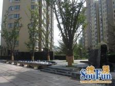 满五为一,颂花园,有地下室有车库有垫高,不潮湿。