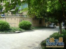 模范小区,近地铁出行方便,适合上班人群一家人