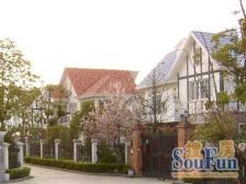 新上500万新装修独栋,室内电梯面积560平三层带地下室