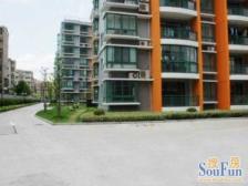 近地铁,电梯房 新上房源