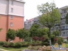 户型优+配套好+精装+南北通+业主诚心+电梯房视野好