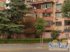 长风公园旁,一楼双南双天井,小区中间,花园位置,近轨交口