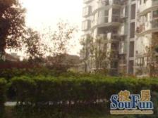 龙华·徐汇龙庭·1室·1厅