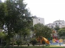 都市路上少有五房,性价比超高,带固定车位
