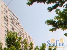 低单价 全天采光 别墅区 看陆家嘴三件套