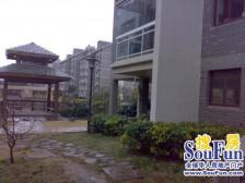 全明通透户型 好楼层 视野开阔 ,业主诚心出售