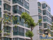 看房随时,南北双花园,05年的联排别墅,院子超级大