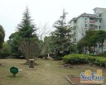 古美罗阳·阳光乾城苑·2室·1厅