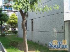 凤凰楼层,诚意出售,采光好,通风好