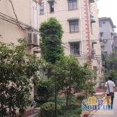 洋泾·民生四村·2室·1厅200万南北两房高区拍卖房