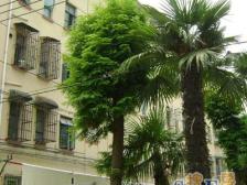 民生四村2室南朝向314.00万元/套出售