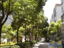 产权清晰,中间楼层,无抵押,新上房源