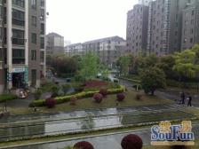 新出炉,电梯高区,采光极好,停车方便,房东诚售、精装修