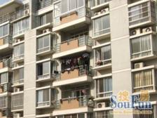 双秀南园 商品 南北通 飞机户型 小区花园位置 近万达