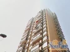 近地铁,通风好,入住快电梯房必看好房