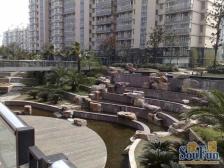 小区上新双南2房,中高区,位置好