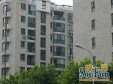 精选:电梯高区,全明格局,推窗见景,随时可看。