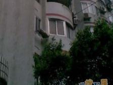 梧桐树下 精品小户型 静待有缘人!
