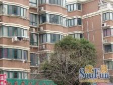 昌鑫协和园 3室2厅 南