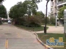 背靠中国馆电梯小高层,紧邻黄浦江写字楼!一梯两户,户型正气