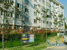 古美罗阳·九星苑·2室·1厅